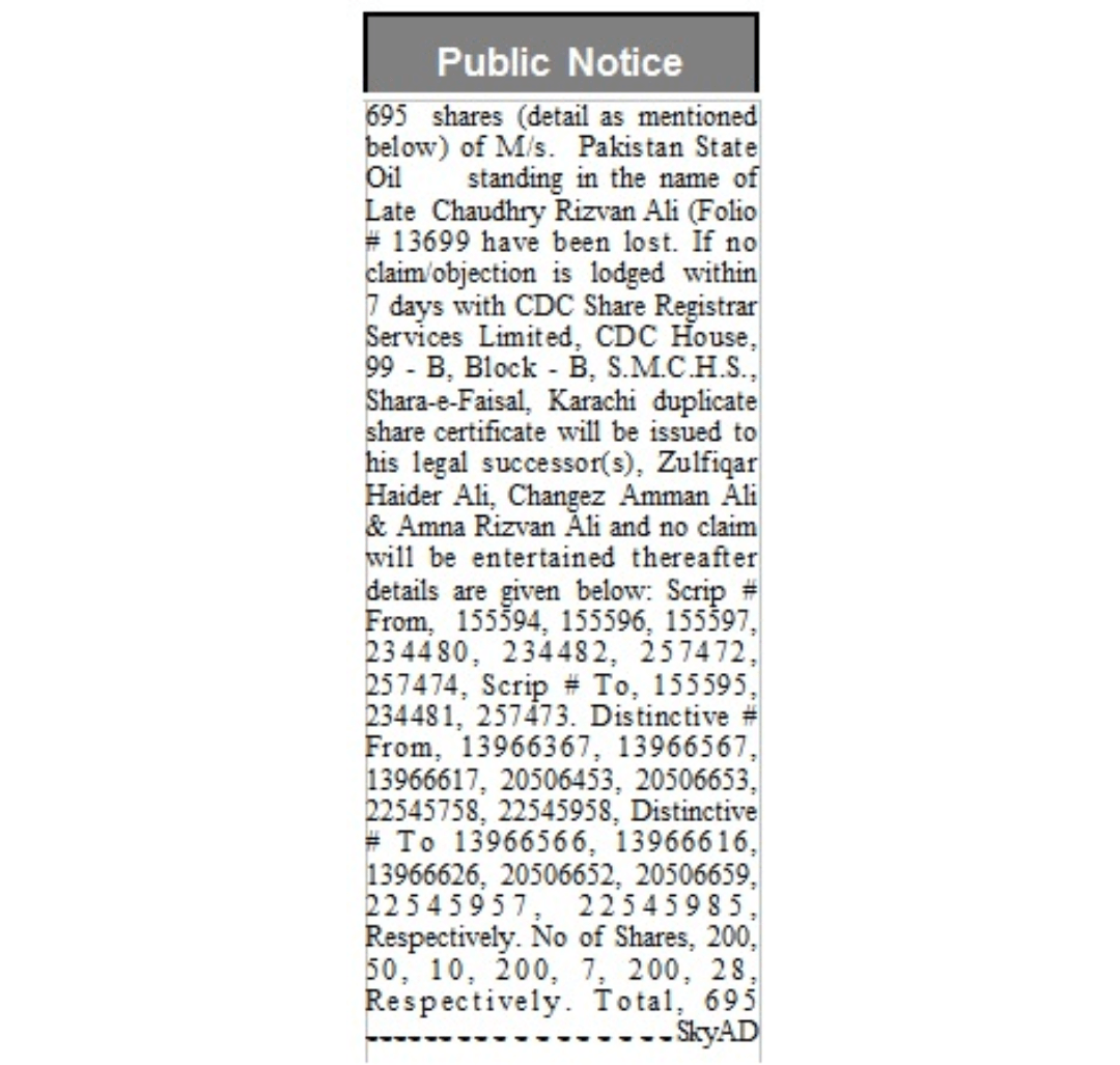 the nation newspaper